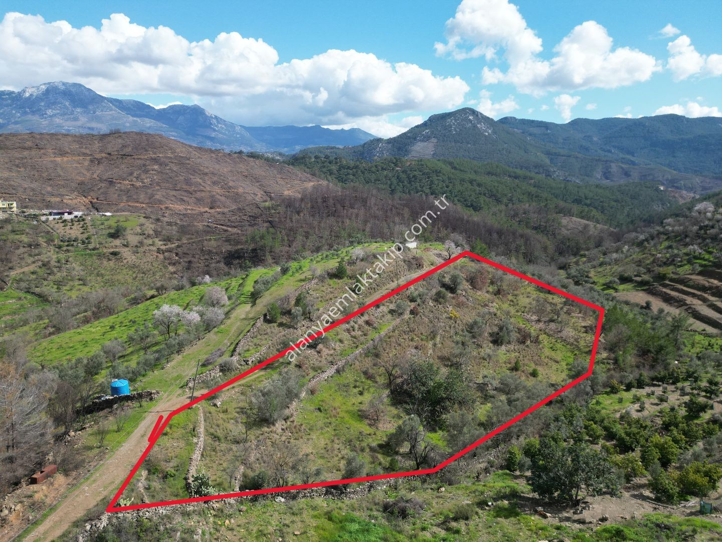 ŞIHLAR MAHALLESİ’NDE SATILIK 6.900 M² YOLA SIFIR TARLA